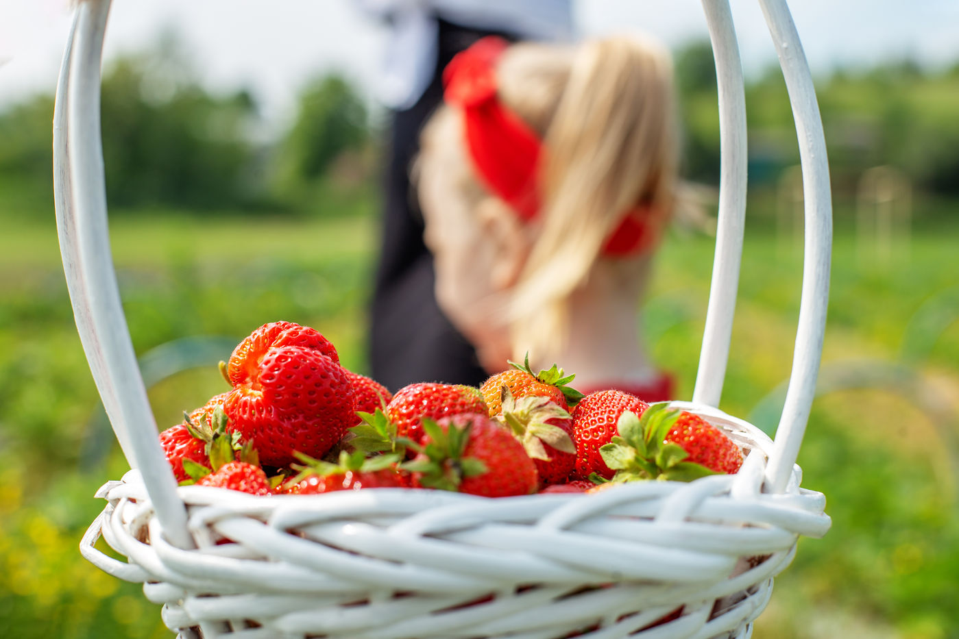 Strawberry Festival at the farm