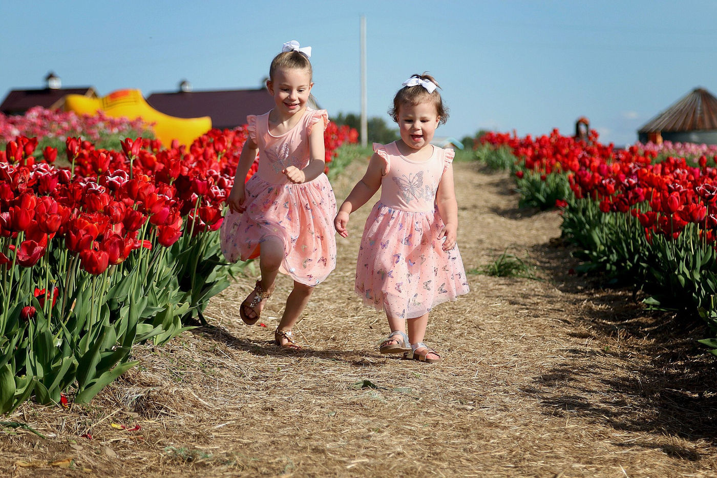 Tulip Festival